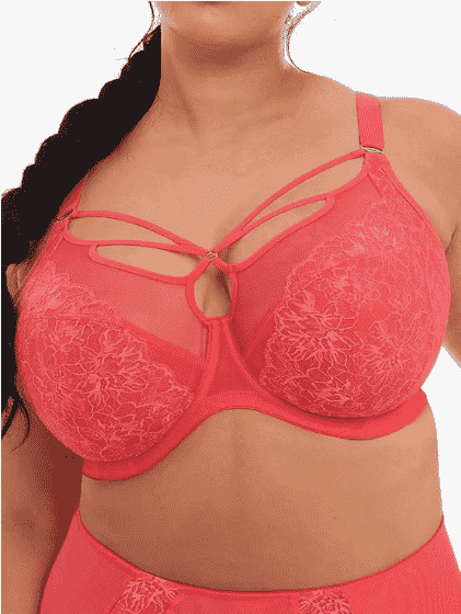 Brianna Underwire Strappy Plunge Bra